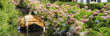 a boat is floating in a river surrounded by pink and blue flowers