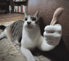 a cat laying on the floor giving a thumbs up sign