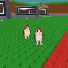 two cats standing in front of an empty box