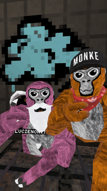 two monkeys wearing hats with monke on them