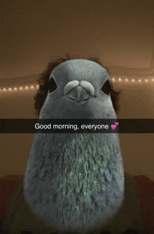 a picture of a pigeon with a caption that reads " good morning everyone "