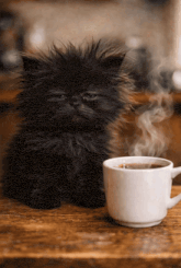 a fluffy black cat sits next to a cup of steaming coffee
