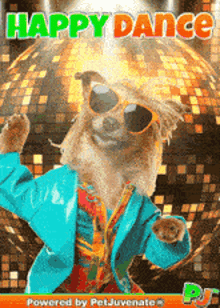 a dog wearing sunglasses and a blue jacket is dancing in front of a disco ball with the words happy dance above it