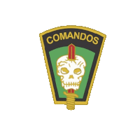 a patch with a skull and a sword that says comando on it