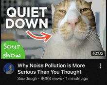 a cat is featured on a youtube video titled quiet down sour show why noise pollution is more serious than you thought