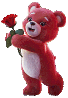 a red teddy bear holding a red rose in its paws