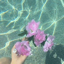 a person holding pink flowers in their hand in a pool