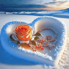 an orange rose is in a heart shaped bowl covered in snow .