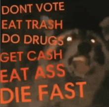 a poster that says dont vote eat trash do drugs get cash eat ass die fast with a raccoon in the background