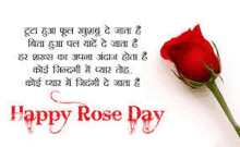 a red rose with a happy rose day message in hindi