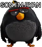 an angry bird with the words son i 'm ryan