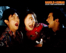 a poster for harold & kumar escape from guantanamo bay shows three people with their mouths open