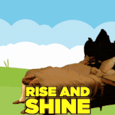 a poster for rise and shine shows a man laying in a bed
