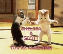 a picture of two kittens dancing with the words " chelsea & scott you 're awesome " above them