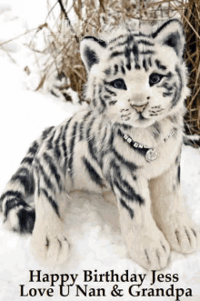 a stuffed tiger is sitting in the snow with the words happy birthday jess love u nan & grandpa on the bottom