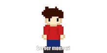 a pixel art of a boy in a red shirt and blue pants with the words server moment written below him .