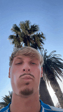 a man with a beard is taking a selfie with a palm tree in the background