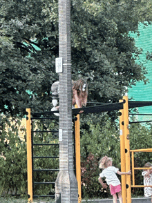 a girl climbs a pole with a # on it