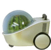 a watermelon in a container with wheels