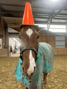 a horse wearing a cone on its head