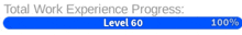 a blue bar that says total work experience progress level 60 and 100 %