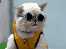 a cat wearing sunglasses and a yellow vest looks at the camera