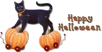 a black cat standing on top of two pumpkins with the words happy halloween written below it