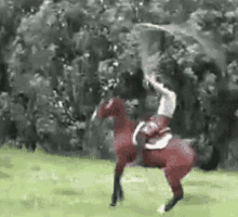 a person is riding a horse in a field while holding a sword .