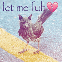 a picture of a bird with a broken heart and the words let me fuh above it