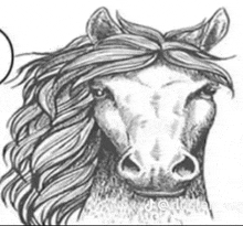 a black and white drawing of a horse with a long mane