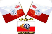 a picture of two flags with a dragon on them and the words arakan national party on the bottom .