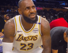 lebron james is wearing a lakers jersey with the number 23