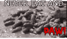 a poster that says never eat and paws