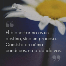 a quote with a flower in the background says el bienestar no es un destino sino un proceso consiste en como conduces no a donde vas