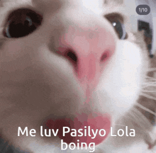 a close up of a cat 's nose with the words me luv pasilyo lola boing