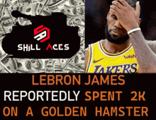 lebron james reportedly spent 2k on a golden hamster according to shill aces