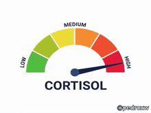 a speedometer with the word cortisol at the top