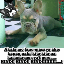 a picture of a dog with the words " akala mo lang masaya ako "