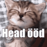 a kitten is sleeping with its eyes closed and the words head ööd written above it