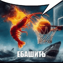 a picture of a basketball being dunked by a shrimp with a speech bubble saying ebashite