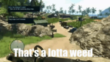 a video game says that 's a lotta weed