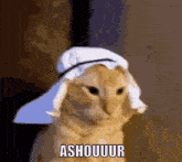 a cat wearing a towel on its head with the word ashouuur written on it