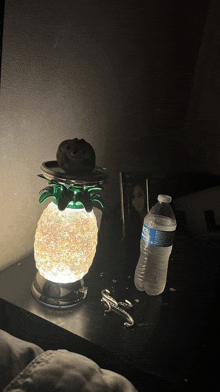 a bottle of aquafina water sits on a nightstand next to a pineapple shaped lamp