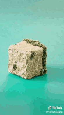 a block of concrete with moss on it is sitting on a green surface .