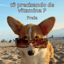 a dog wearing sunglasses on a beach with the words to precisando de vitamina p praia below it