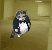 a cat wearing a tuxedo and bow tie