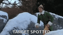 a man in a green elf costume is standing in the snow with the words `` target spotted '' .
