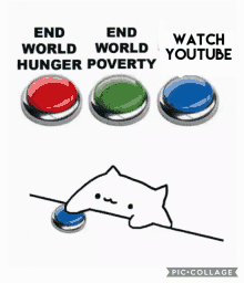 a cat is pressing a button that says end world hunger poverty .