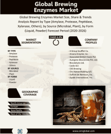 an advertisement for global brewing enzymes market showing a glass of beer