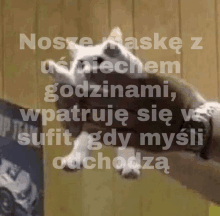 a cat is being held in someone 's hands with a caption in polish